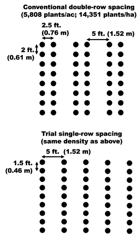 Single-row vs double-row trial